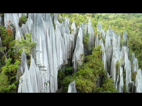 Gunung Mulu National Park, Pinnacles