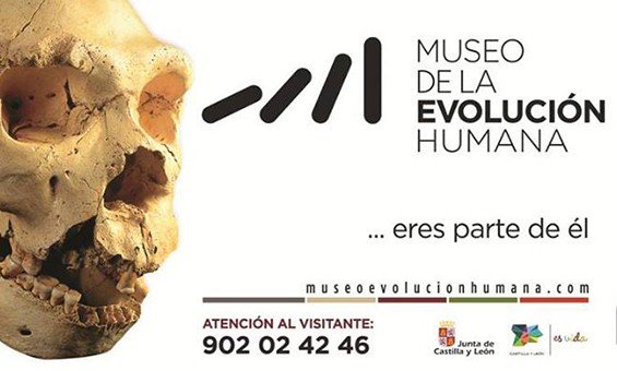 Museo de la evolución humana