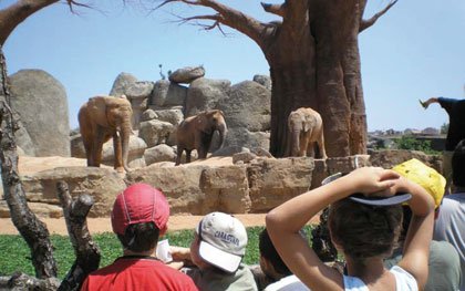 Bioparc Valencia