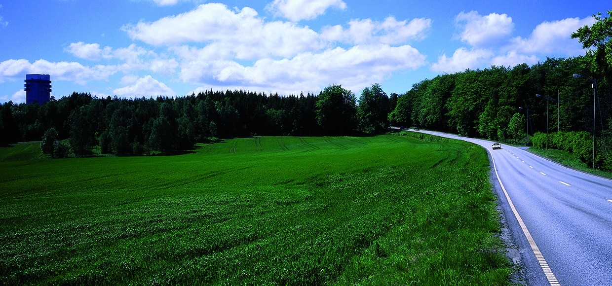 Visibilidad en carretera