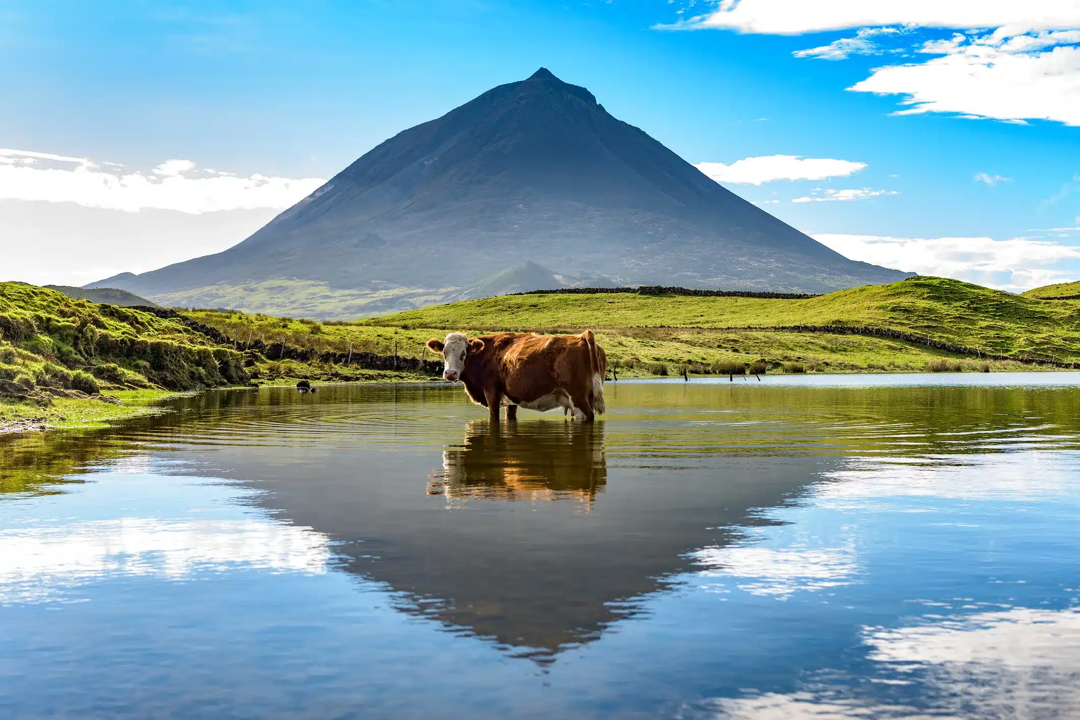 viajar a las Azores